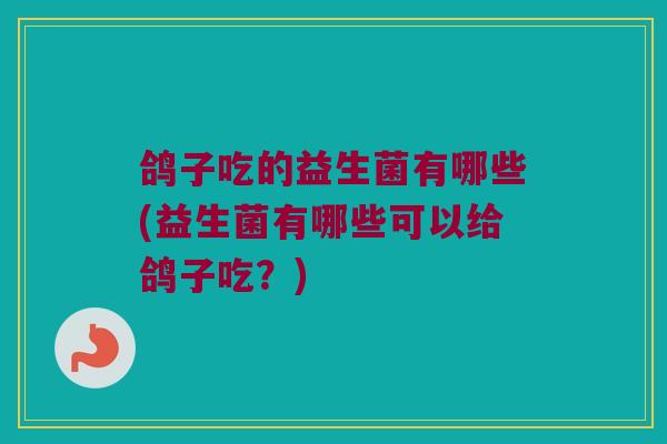 鸽子吃的益生菌有哪些(益生菌有哪些可以给鸽子吃？)