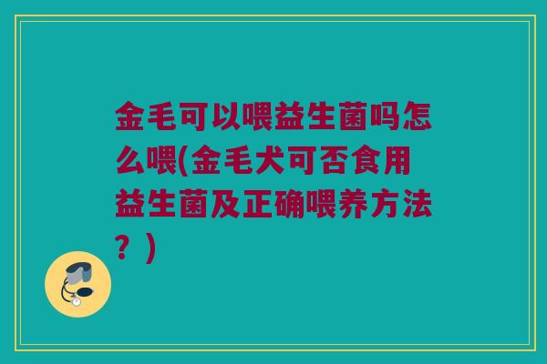 金毛可以喂益生菌吗怎么喂(金毛犬可否食用益生菌及正确喂养方法？)