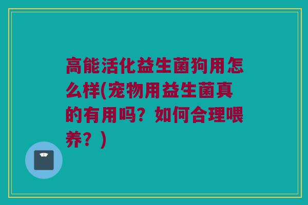 高能活化益生菌狗用怎么样(宠物用益生菌真的有用吗？如何合理喂养？)