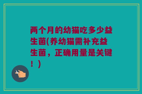 两个月的幼猫吃多少益生菌(养幼猫需补充益生菌，正确用量是关键！)
