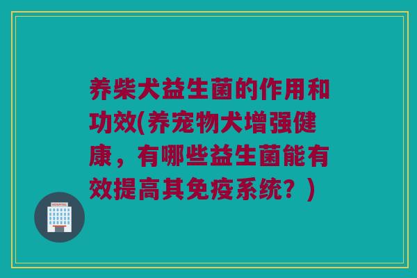 养柴犬益生菌的作用和功效(养宠物犬增强健康，有哪些益生菌能有效提高其免疫系统？)