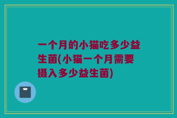 一个月的小猫吃多少益生菌(小猫一个月需要摄入多少益生菌)