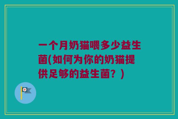 一个月奶猫喂多少益生菌(如何为你的奶猫提供足够的益生菌？)