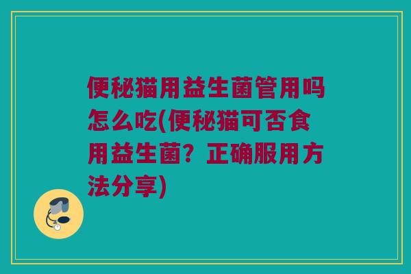 便秘猫用益生菌管用吗怎么吃(便秘猫可否食用益生菌？正确服用方法分享)