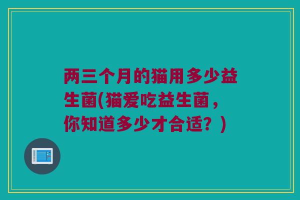 两三个月的猫用多少益生菌(猫爱吃益生菌，你知道多少才合适？)