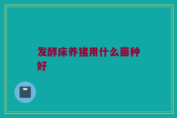 发酵床养猪用什么菌种好