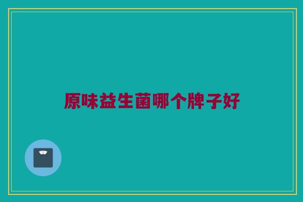 原味益生菌哪个牌子好