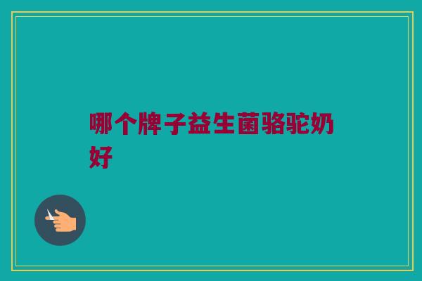 哪个牌子益生菌骆驼奶好