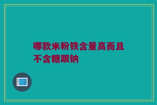 哪款米粉铁含量高而且不含糖跟钠