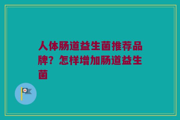人体肠道益生菌推荐品牌？怎样增加肠道益生菌