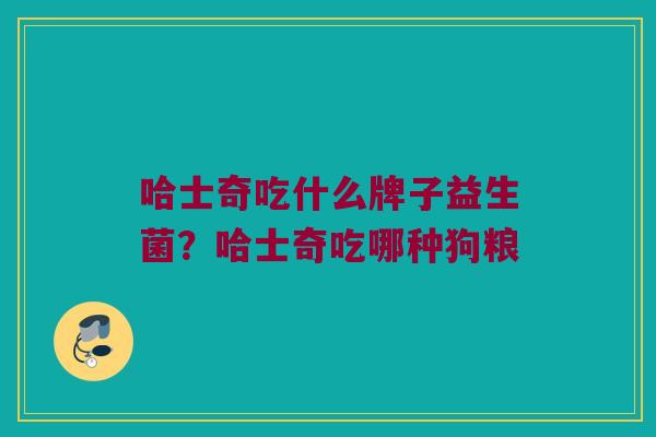 哈士奇吃什么牌子益生菌？哈士奇吃哪种狗粮