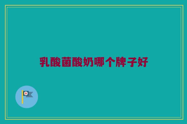 乳酸菌酸奶哪个牌子好