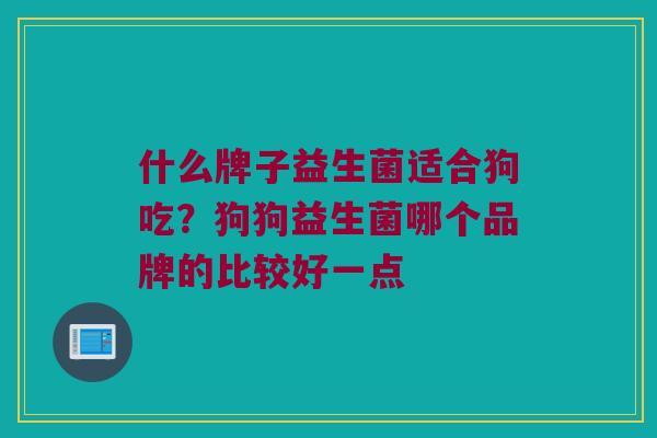 什么牌子益生菌适合狗吃？狗狗益生菌哪个品牌的比较好一点