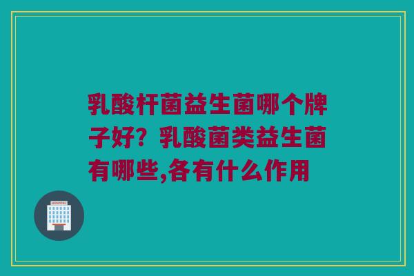 乳酸杆菌益生菌哪个牌子好？乳酸菌类益生菌有哪些,各有什么作用
