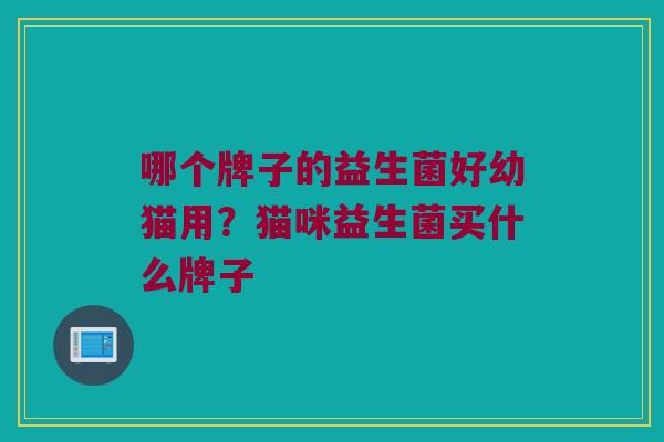 哪个牌子的益生菌好幼猫用？猫咪益生菌买什么牌子