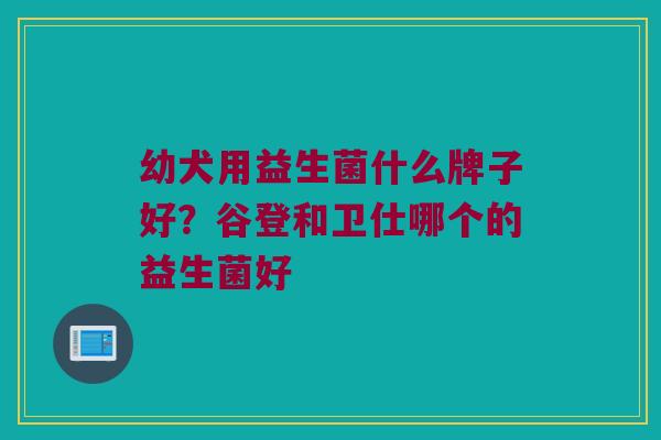 幼犬用益生菌什么牌子好？谷登和卫仕哪个的益生菌好
