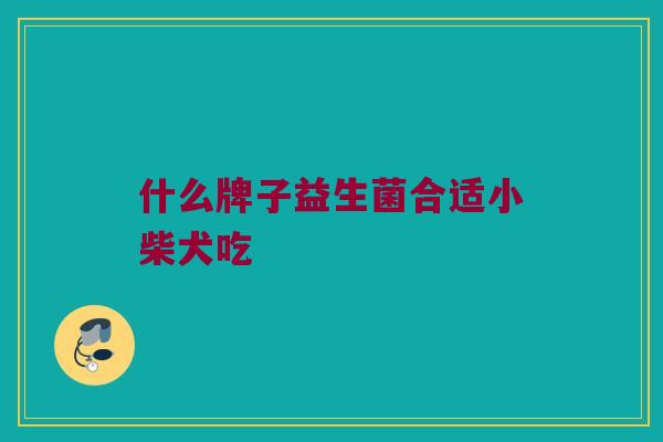 什么牌子益生菌合适小柴犬吃