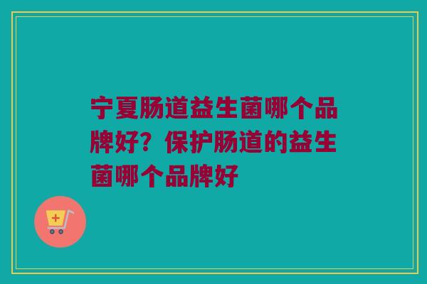 宁夏肠道益生菌哪个品牌好？保护肠道的益生菌哪个品牌好