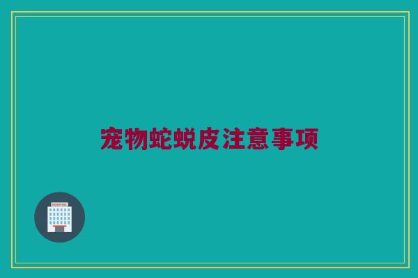 宠物蛇蜕皮注意事项