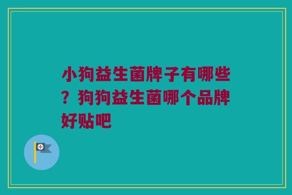 小狗益生菌牌子有哪些？狗狗益生菌哪个品牌好贴吧