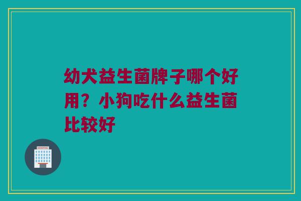 幼犬益生菌牌子哪个好用？小狗吃什么益生菌比较好