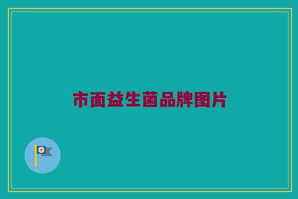 市面益生菌品牌图片