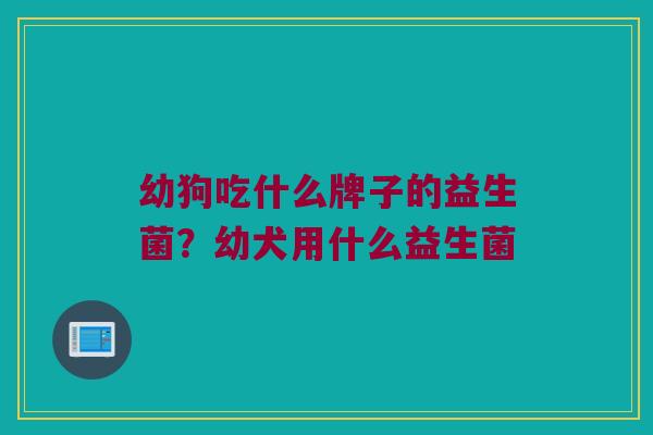 幼狗吃什么牌子的益生菌？幼犬用什么益生菌