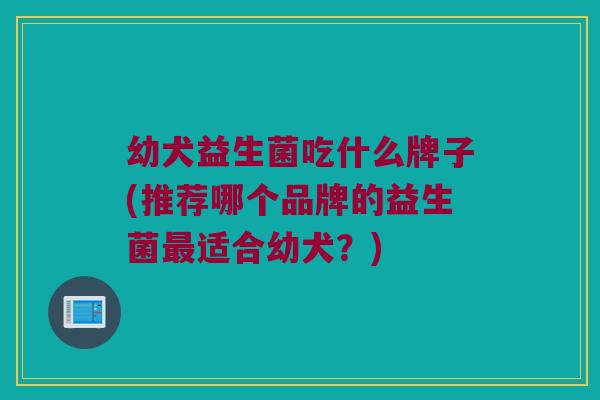 幼犬益生菌吃什么牌子(推荐哪个品牌的益生菌最适合幼犬？)