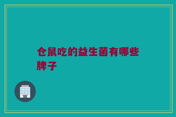 仓鼠吃的益生菌有哪些牌子