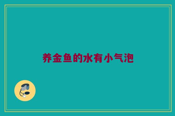 养金鱼的水有小气泡