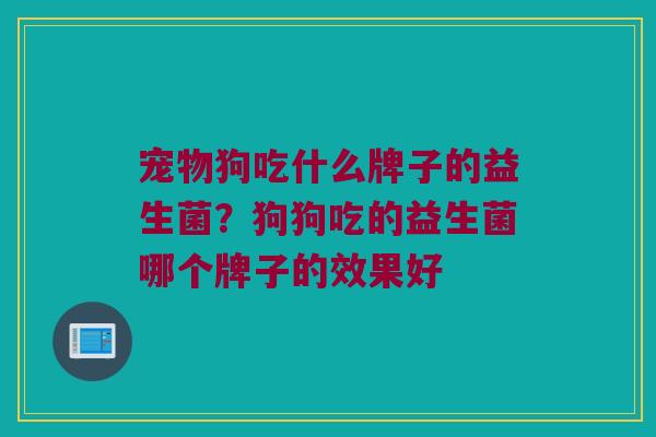 宠物狗吃什么牌子的益生菌？狗狗吃的益生菌哪个牌子的效果好