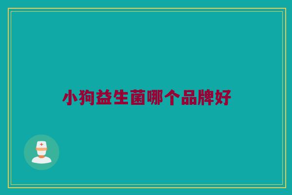 小狗益生菌哪个品牌好