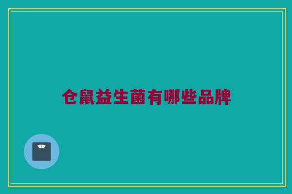 仓鼠益生菌有哪些品牌