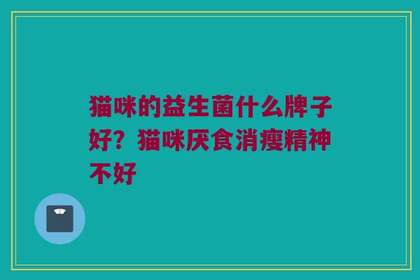 猫咪的益生菌什么牌子好？猫咪厌食消瘦精神不好