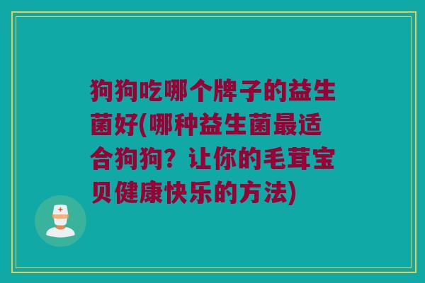 狗狗吃哪个牌子的益生菌好(哪种益生菌最适合狗狗？让你的毛茸宝贝健康快乐的方法)