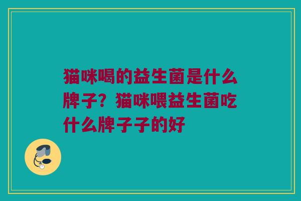 猫咪喝的益生菌是什么牌子？猫咪喂益生菌吃什么牌子子的好