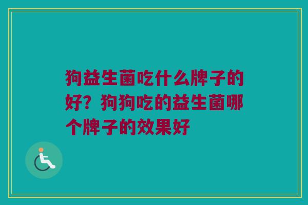 狗益生菌吃什么牌子的好？狗狗吃的益生菌哪个牌子的效果好