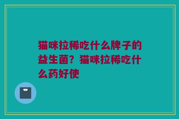 猫咪拉稀吃什么牌子的益生菌？猫咪拉稀吃什么药好使