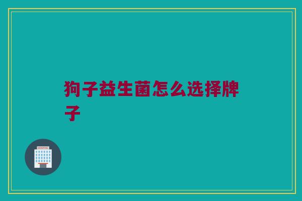 狗子益生菌怎么选择牌子
