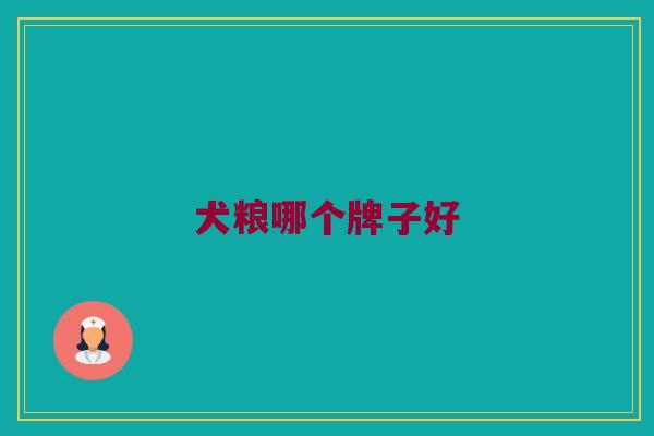 犬粮哪个牌子好