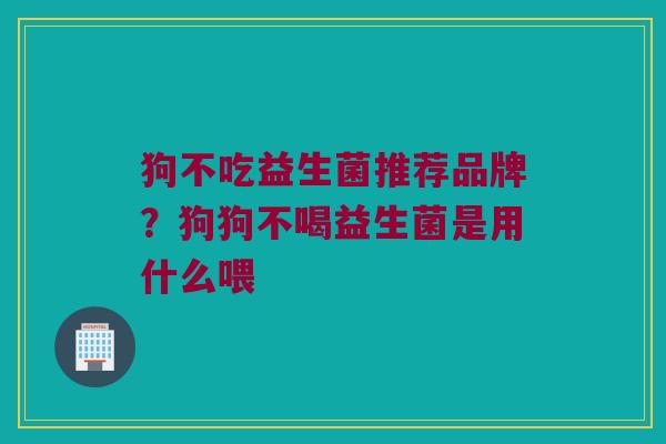 狗不吃益生菌推荐品牌？狗狗不喝益生菌是用什么喂