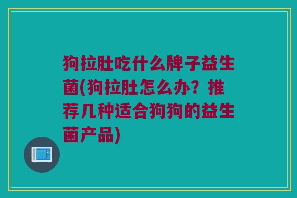 狗拉肚吃什么牌子益生菌(狗拉肚怎么办？推荐几种适合狗狗的益生菌产品)