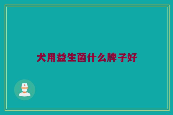 犬用益生菌什么牌子好