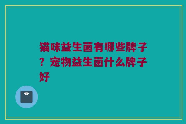 猫咪益生菌有哪些牌子？宠物益生菌什么牌子好