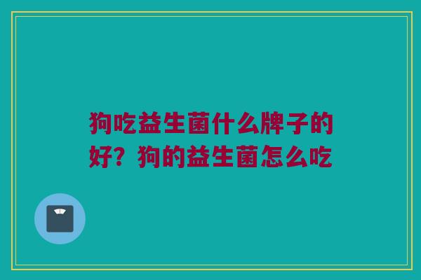 狗吃益生菌什么牌子的好？狗的益生菌怎么吃