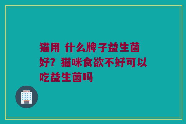 猫用 什么牌子益生菌好？猫咪食欲不好可以吃益生菌吗