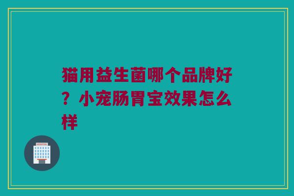 猫用益生菌哪个品牌好？小宠肠胃宝效果怎么样