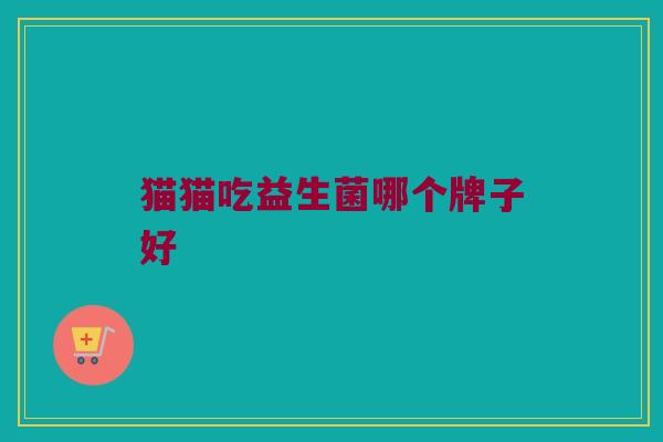 猫猫吃益生菌哪个牌子好