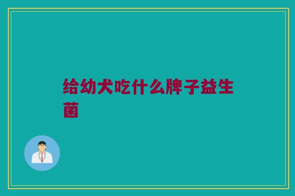 给幼犬吃什么牌子益生菌