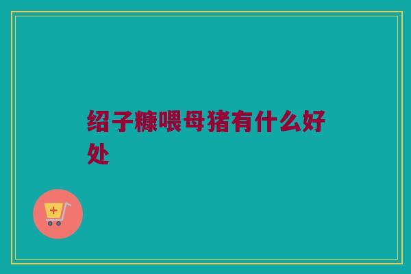 绍子糠喂母猪有什么好处